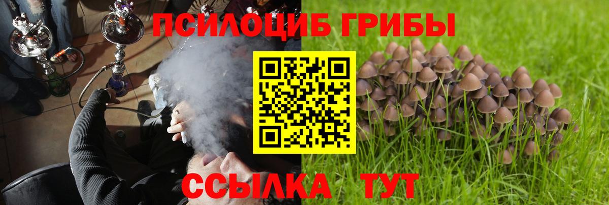 Псилоцибиновые грибы MAGIC MUSHROOMS Аксай